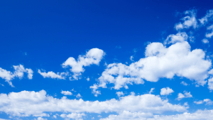 Exploring Bluesky: An Alternative Social Network with Potential